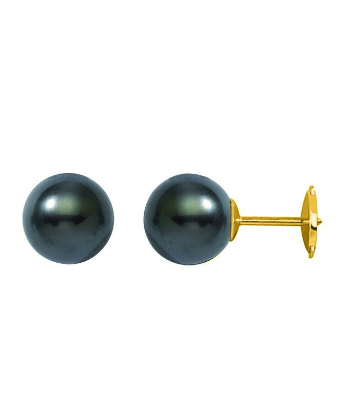 Boucles d'Oreilles Perle De Tahiti Ronde 8/9 Mm Qualite A/B 0,82 Gr Or Calotte 4 Mm - Boucles d'Oreilles - Négoce îles - Les Champs d'Or